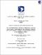 TFLACSO-2011BFM.pdf.pdf.jpg